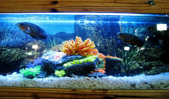 Ways to Keep Your Aquarium Clean