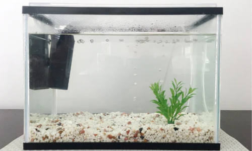 An empty freshwater fish tank