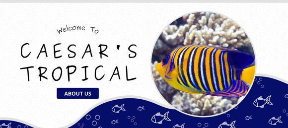 Caesar s Tropical Fish