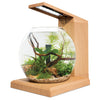 Fluval Liv Aquarium Kit Teak