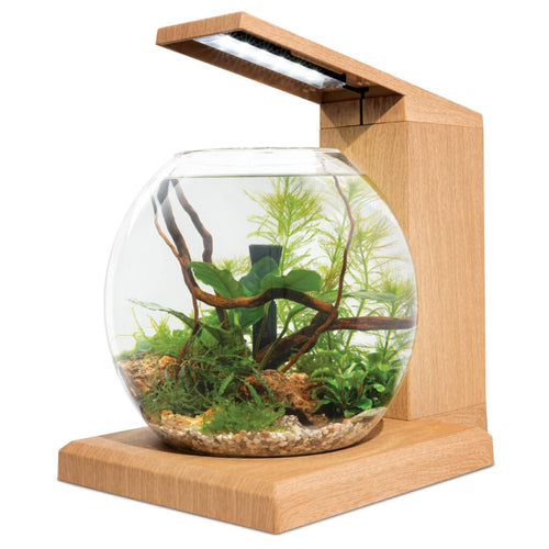 Fluval Liv Aquarium Kit Teak