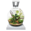 Fluval Liv Aquarium Kit White