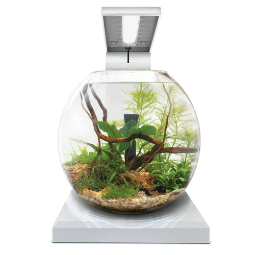 Fluval Liv Aquarium Kit White