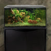 Fluval Flex Aquarium Kit, 32.5 US Gal / 123 L