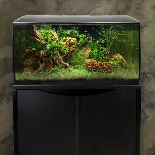 Fluval Flex Aquarium Kit, 32.5 US Gal / 123 L
