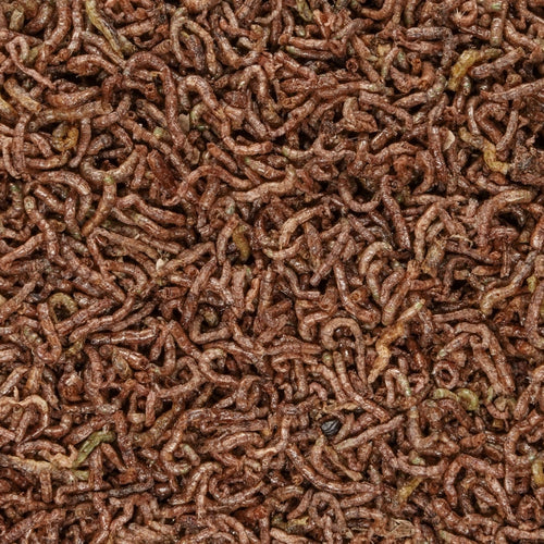 San Francisco Bay Brand Freeze Dried Bloodworms