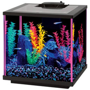 Aqueon 10 gallon led aquarium outlet kit