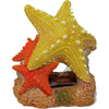 EXOTIC ENVIRONMENTS SEA STAR DUO