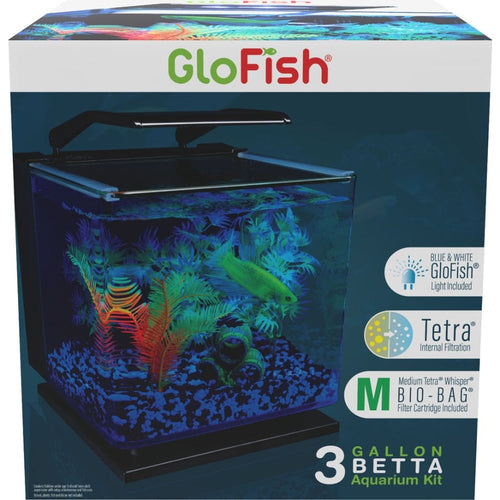 GLOFISH BETTA GLASS AQUARIUM KIT - Santa Rosa, CA - Caesar's Tropical Fish